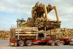 ID 1903 PORT OF TAURANGA, BAY OF PLENTY, NEW ZEALAND - Log loading operations.